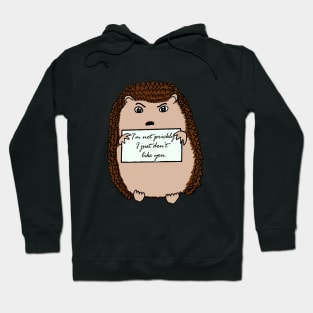 Prickly hedgehog Hoodie